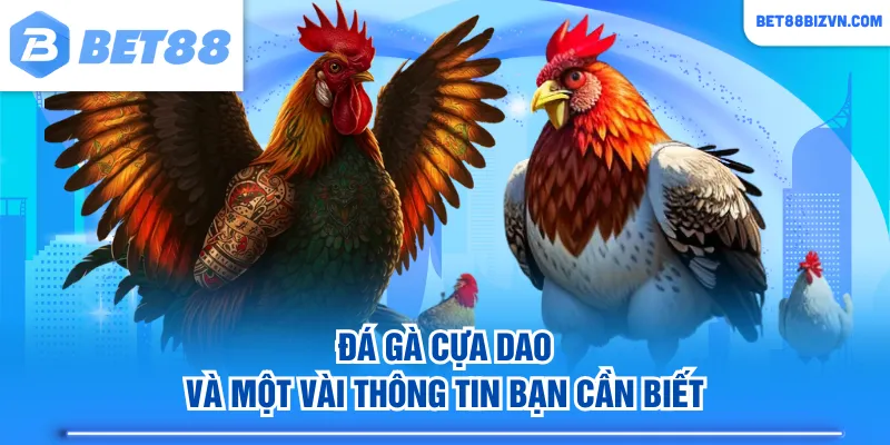 Đá gà cựa dao và một vài thông tin bạn cần biết