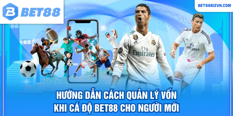 cách quản lý vốn khi cá độ BET88