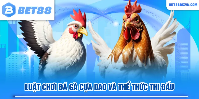 Luật chơi đá gà cựa dao và thể thức thi đấu