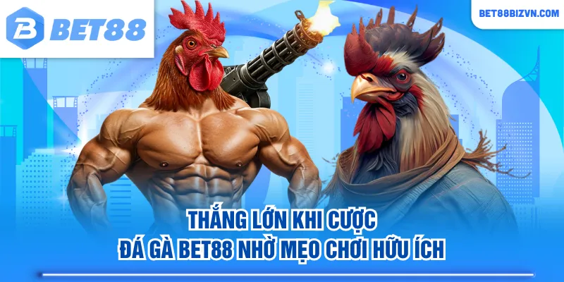 Thắng lớn khi cược Đá Gà BET88 nhờ mẹo chơi hữu ích