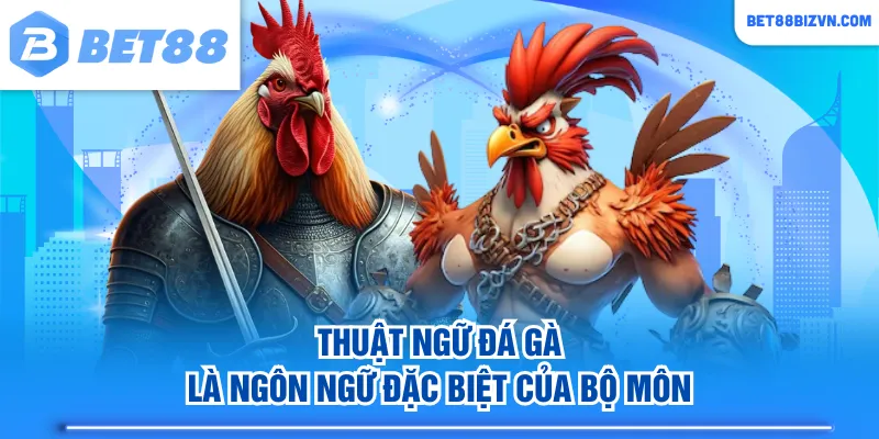 Thuật ngữ đá gà là ngôn ngữ đặc biệt của bộ môn